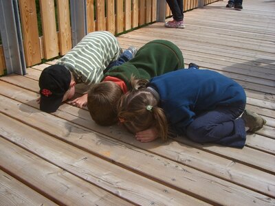 Children curious crack