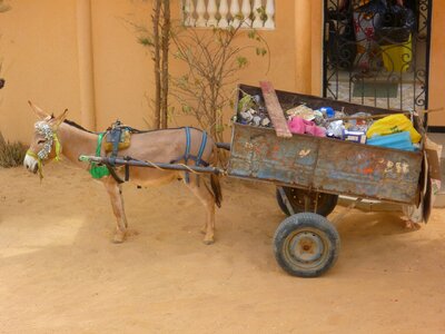 Carriage cart recycling