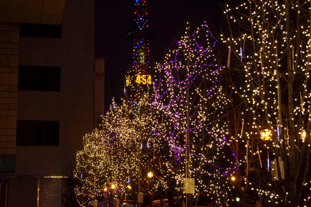 7 Illuminations