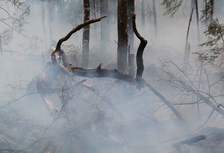 Sweden burning for conservation smoke