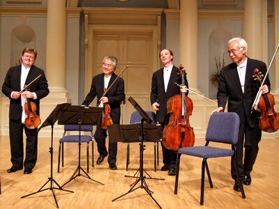Strings musicians men