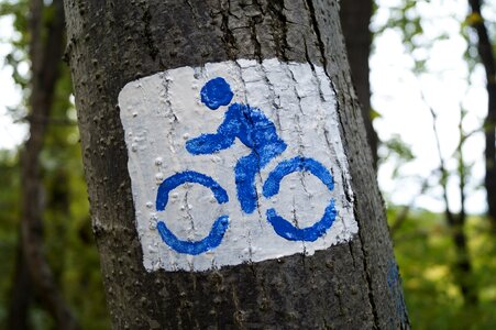 Hiking trail forest forest bike path