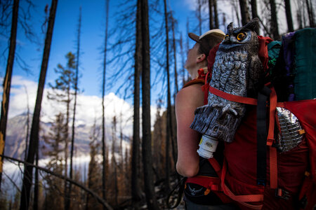 Hiker With Backpack Descends Mountain Trail photo