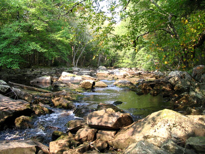 Little River in the Fall in Nova Scotia, Canada photo