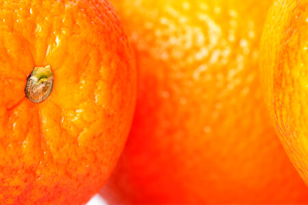 Oranges photo