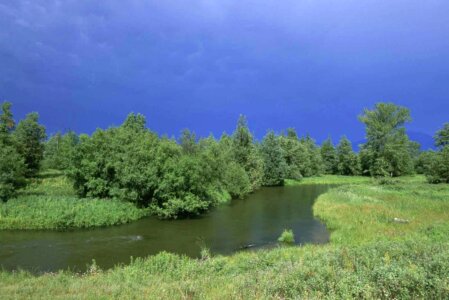 Brush clouds distance
