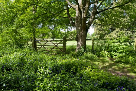 Fence pasture dapple shade photo