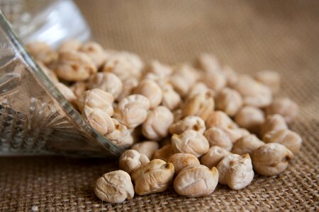 Legumes pulses vegetarian
