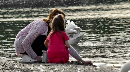 Bird daughter motherhood photo