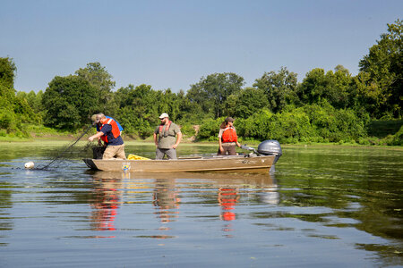 Alligator gar-1 photo