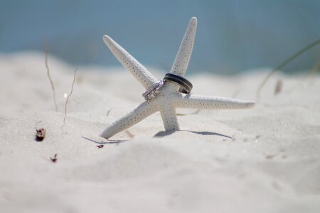 Symbol vows sand