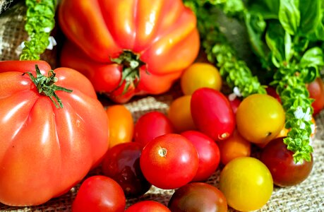 Agriculture beautiful photo calorie