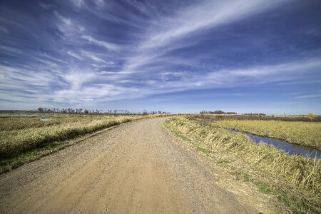 Driving tour road landscape at Crex Meadows