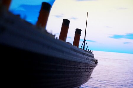 Times titanic seagull
