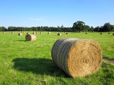 Countryside bale harvest photo