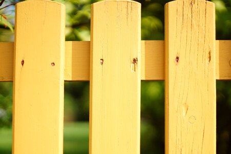 Yellow weathered garden