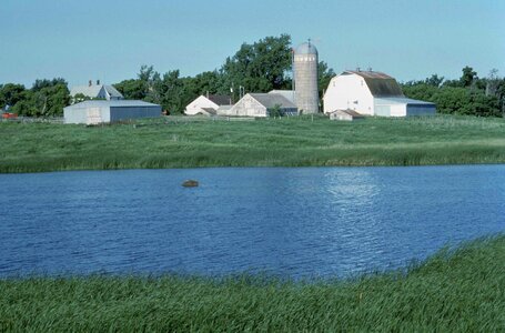 Marsh ranch 