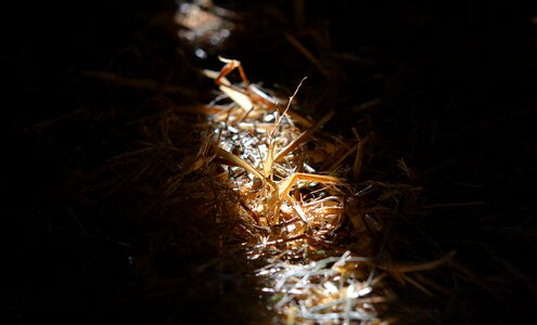 Sunbeam light and shadow close up