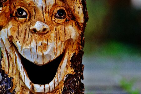 Tree forest spirit tree face