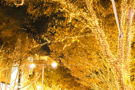 7 Omotesando