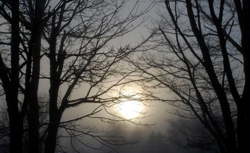 Haze sunrise dawn photo