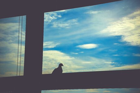 Sky silhouette a beautiful view