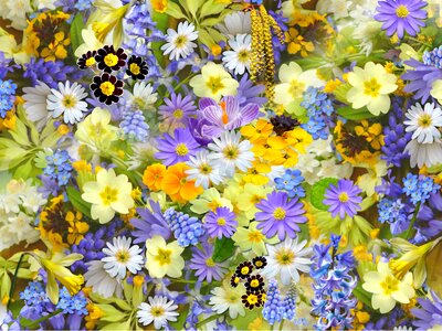 Floral blossom summer