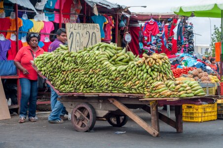 selling bananas on the street photo