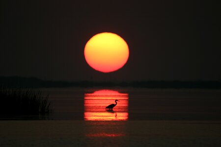Orange sun horizon photo