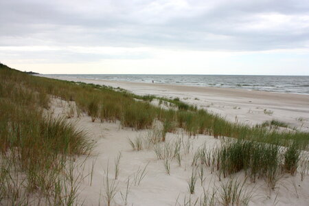 Grass sand dune beach sea view, Leba, Baltic Sea, Poland photo