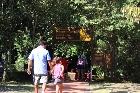 Green Trail Iguazu Argentina photo