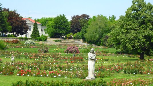 Avenue statue nature