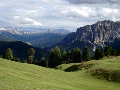 Meadow freedom green photo