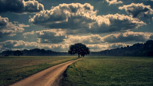 Agriculture atmosphere beautiful photo
