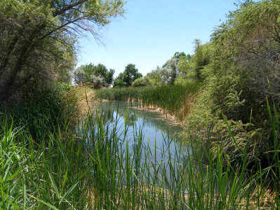 Corn Creek Springs on the Desert National Wildlife Refuge photo