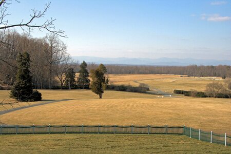 Nature meadow field