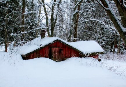 Cabin hut house photo