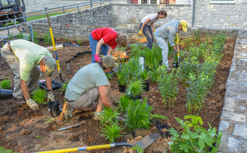 Planting a monarch garden-2