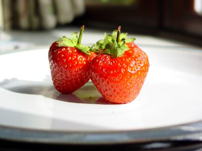Plate berry berries photo