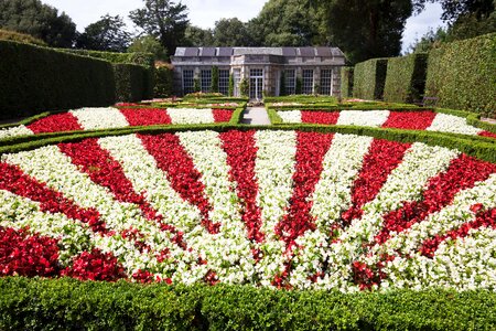 Architectural garden red white