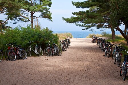 Bike bicycles wheels photo