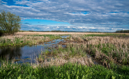 Marshlands under the sky landscapes photo