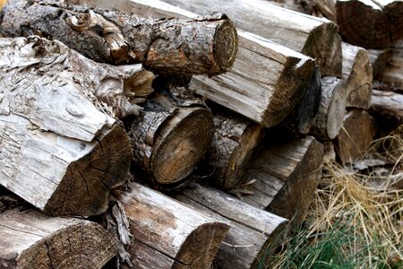 Firewood wood 