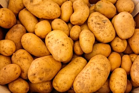 Fresh Potatoes photo