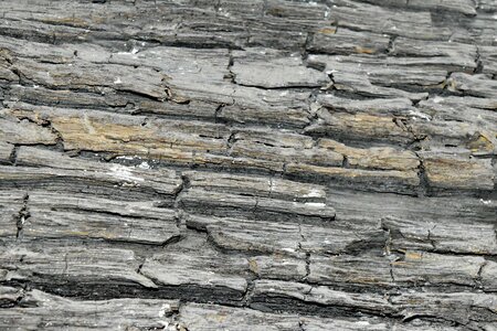 Old rough texture photo