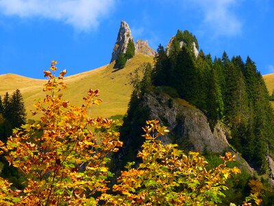 Rock autumn nature