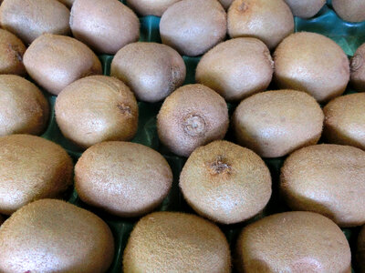 A Pile of Kiwi Fruit photo