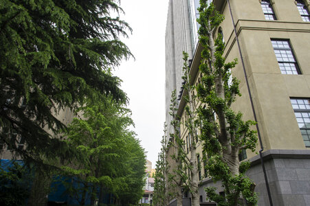 1 Waseda Univ
