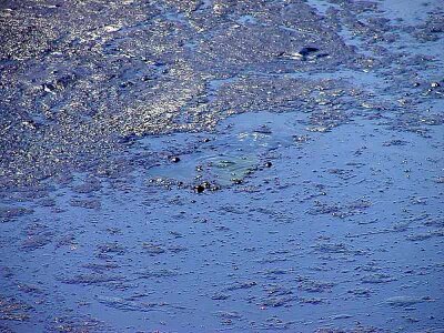 Mud Flat photo