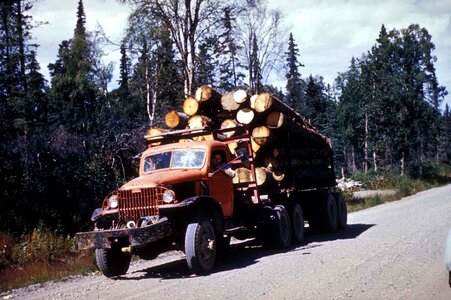 Cargo forest logging